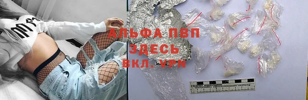 индика Абдулино